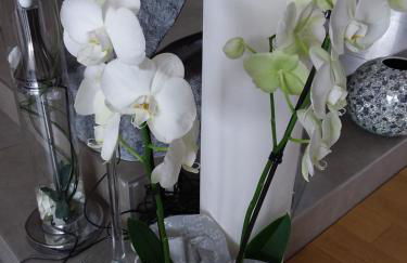 L'Orchidée - Photo 1