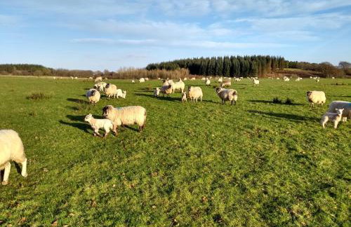 Cleeves Cabins Arran Luxury Lodge with hot tub - Foto 33