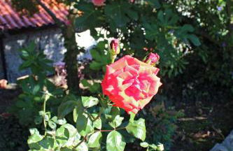 Casa dos três rapazes - Foto 68