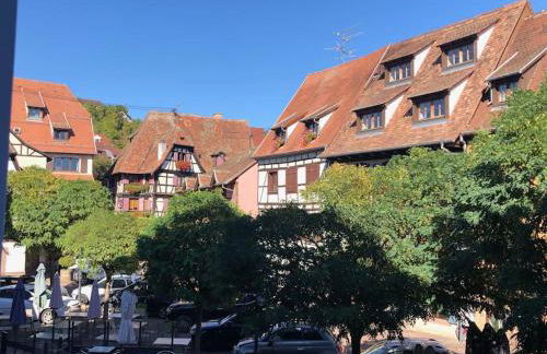 Le Carrousel - Appartement cosy centre Obernai - Foto 3