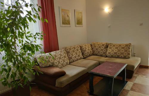 Stawy u Sikory - Dom Rybak - Agroturystyka i łowisko - Foto 12