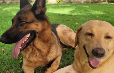 Casa de Praia em Japaratinga-AL - Foto 17