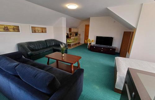 Apartamenty LeVilla - Foto 55