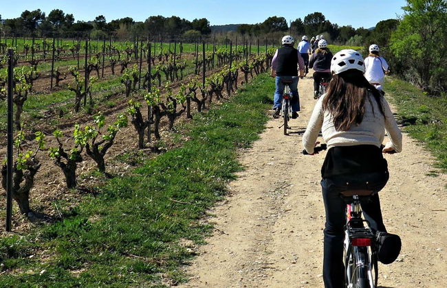 Penedes Vineyards Bike Tour - Photo 1