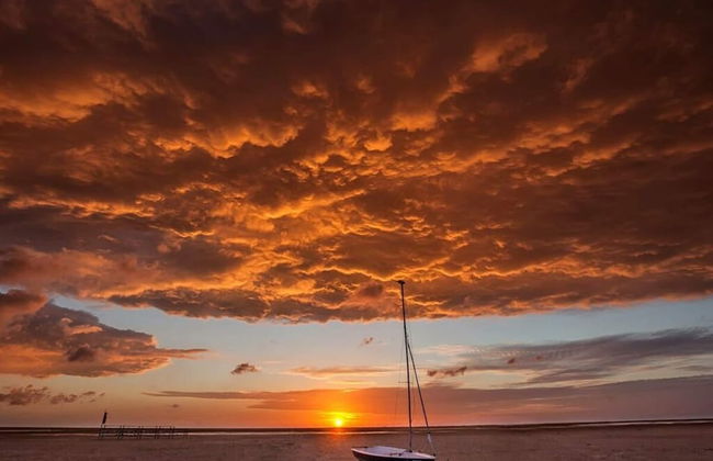 Ostland Modern Retreat - Photo 14