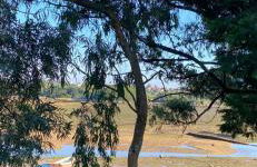 Cabaña de ensueño en el bosque y junto al mar - Foto 60
