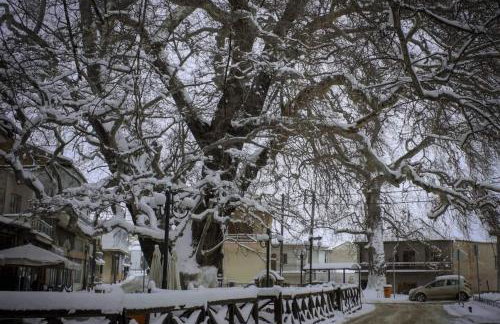 Cozy Place living - Foto 56