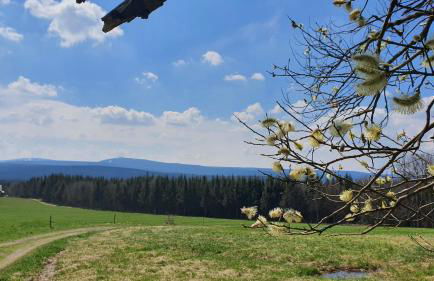 Ferienwohnung "Waldzauber" - Foto 15