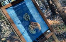 Appartamenti Paolo - Foto 17