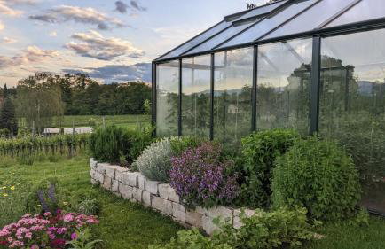 Zum Rebberg Ferienwohnungen - Photo 37