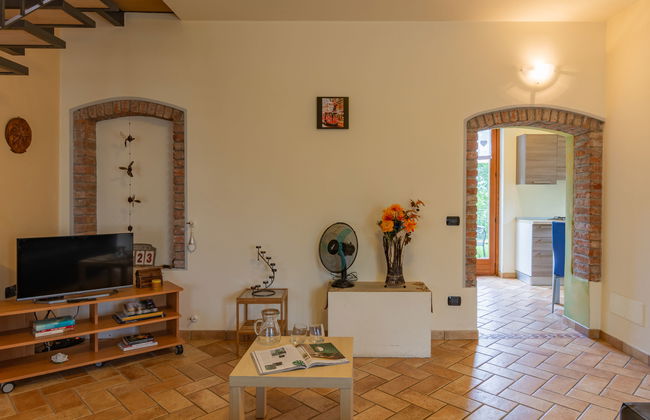 Vince (DOX200) - Photo 5