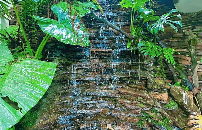 Green Villa Sapa - Foto 42