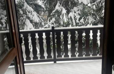 Le Pic Noire - Foto 28