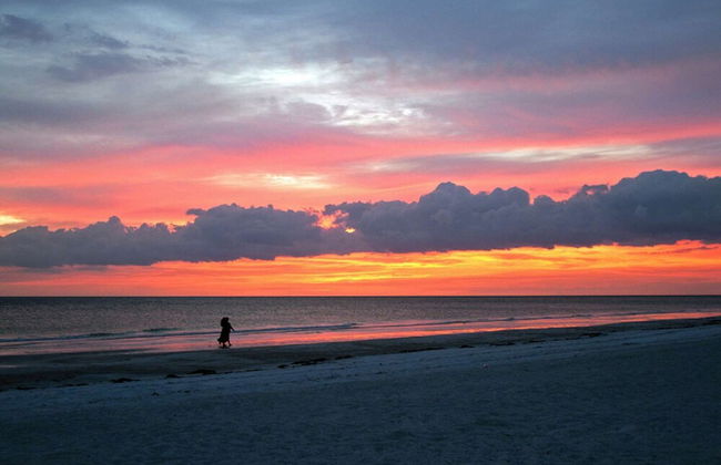 Lilac Mid-century Pool Home - Foto 37