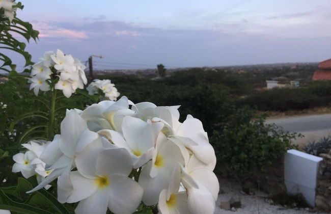 Villa Bon Vista - Foto 42