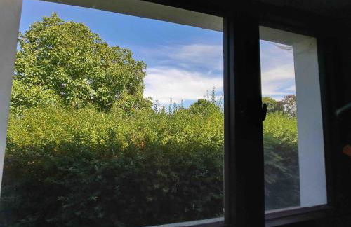 Ferienhaus Gransee unmittelbar am Stechlinsee - Radweg - Foto 8