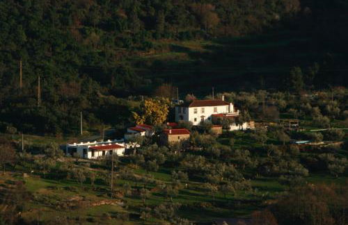 Special Farmstay, Faia-Guarda - Foto 29