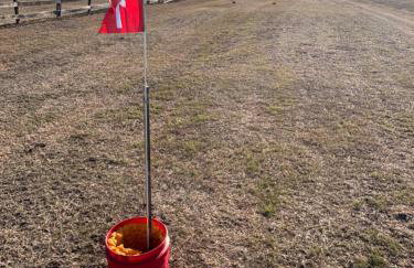 Skull Creek Ranch Cottage - Foto 17