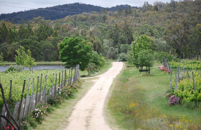 Twisted Gum Cottage - Photo 10