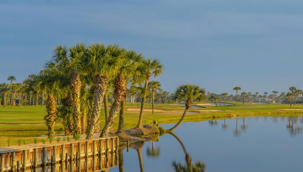 Servizio della struttura