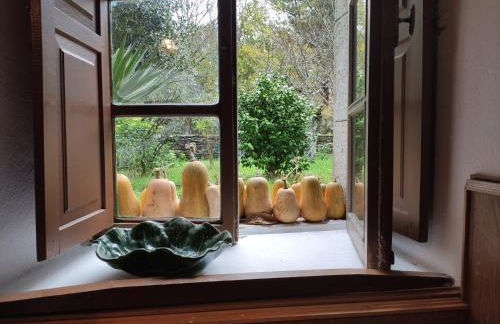 Casa Moucheiro - Foto 48