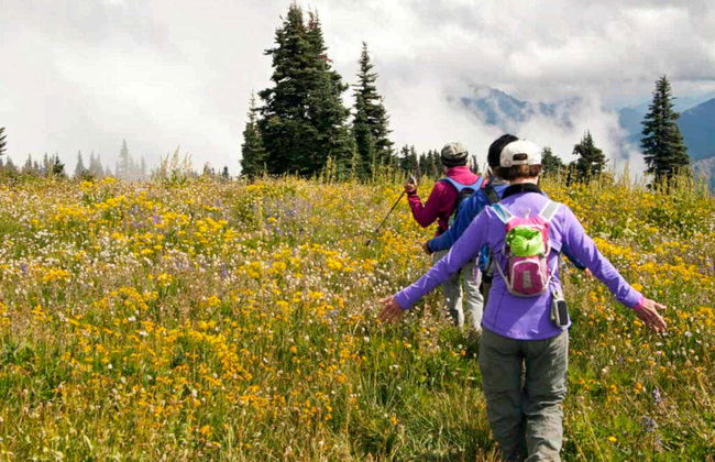 Excursión al Parque Nacional Olympic - Foto 3