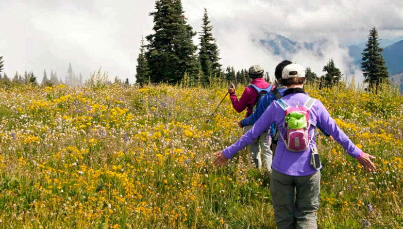 Excursión al Parque Nacional Olympic - Foto 3