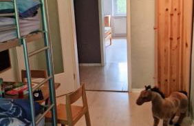 Altes Zollhaus im Wald - Foto 46