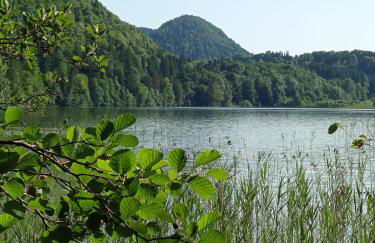 Le Chablis étoilé - Foto 29