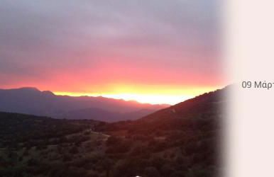 The Artist's House - Photo 36