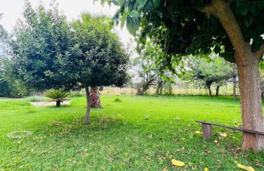 ADOSADO OLIVA NOVA 80 metros playa - Photo 32