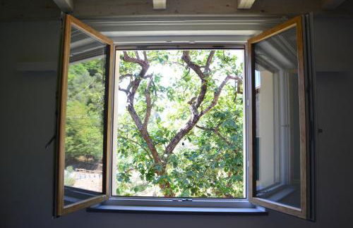 Agriturismo Torsivì - Foto 24