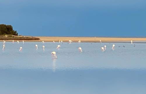 Gerani Rossi Appartamento - Foto 22