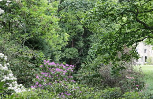 Housekeeper's Rooms - Foto 18