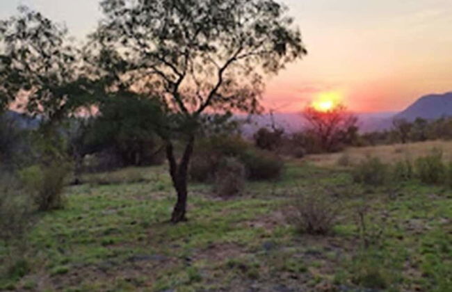 Natures Green Resort and Spa - Foto 67