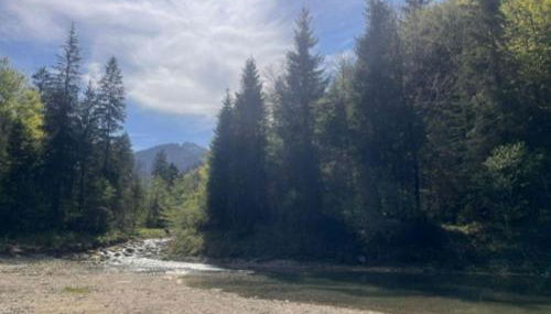 Alpen View - Photo 3