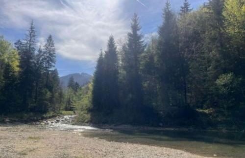 Alpen View - Photo 3