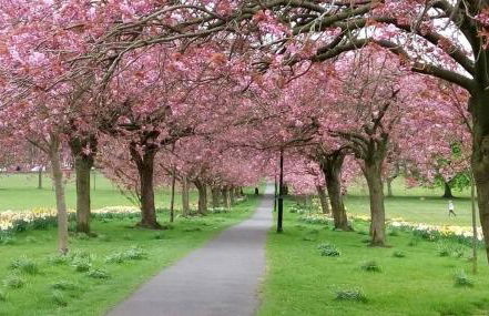 Harrogate 100 - Foto 14