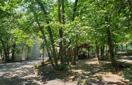 LN ETNA HOUSE-villa ad uso esclusivo - Foto 23