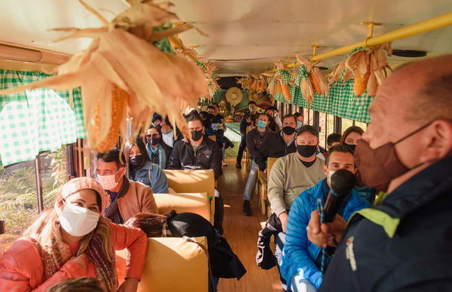 Tour en jardineira por Linha Ávila - Foto 5