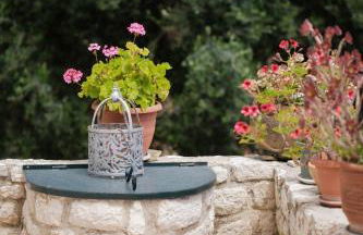 Piniata Guest House - Foto 38