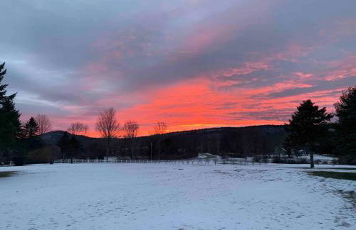 Cottage in the woods - Foto 27