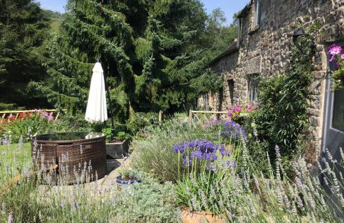 Lee house farm holiday cottage with possible use of hot tub ninety pounds a session - Foto 11