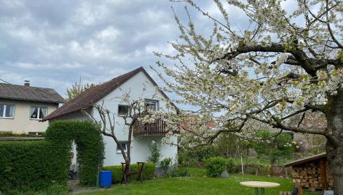 Ferienhaus am Weserradweg - Foto 4