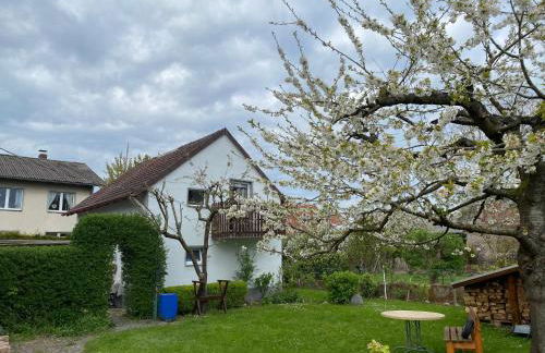 Ferienhaus am Weserradweg - Foto 4