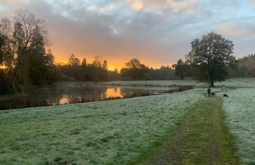 The Woodhouse Cabin 8 - Foto 14