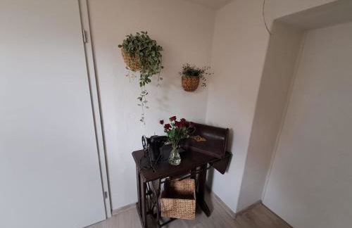 Zittau - Ferienwohnung Frieda mit Camping Familien, und Biker Hütten am Zittauer Gebirge - Foto 35