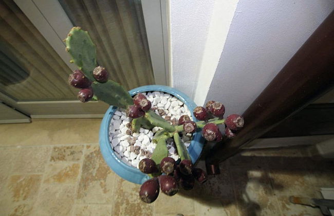 Suite del Vico Family - Foto 28