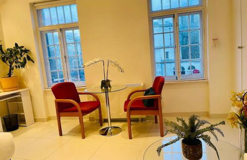 Stylish Modern Stay in the Heart City of London St Paul Smithfield Barbican - Foto 6