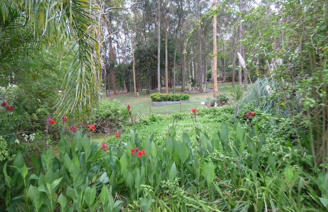 Werekataba - Foto 22